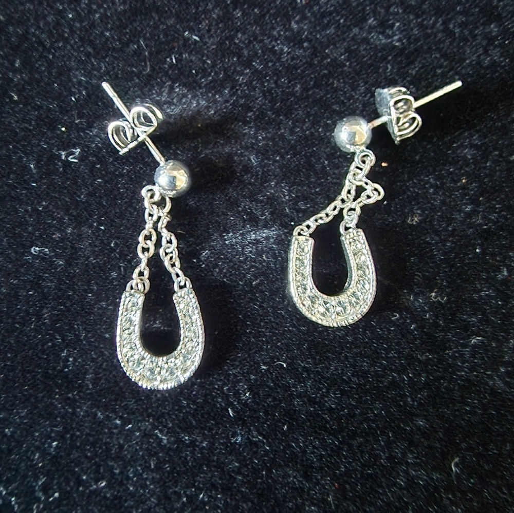 Horseshoe Earrings